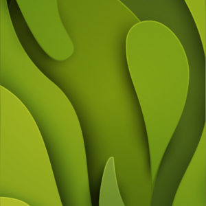 npi-green npi-green